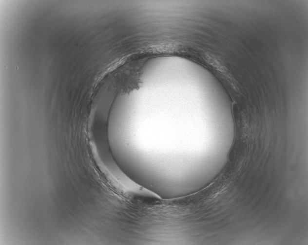 X0000055990681200509162252