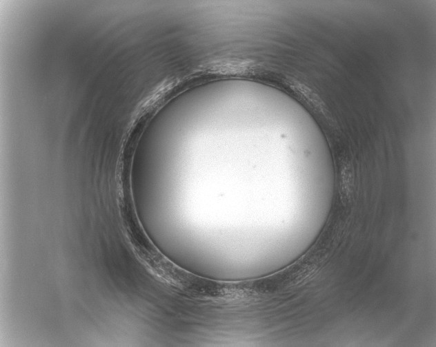 X0000055990682200509162252