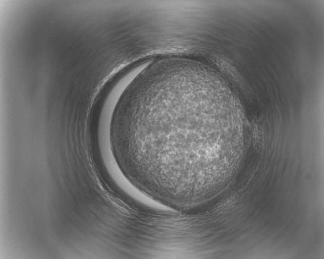 X0000055990684200509162252