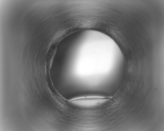 X0000055990685200509162252