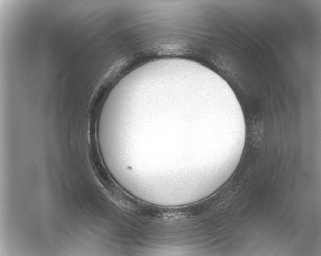 X0000055990686200509162252