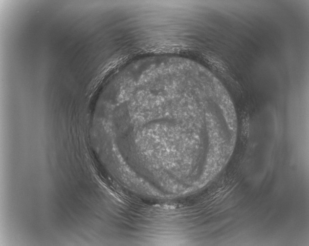 X0000055990687200509162252