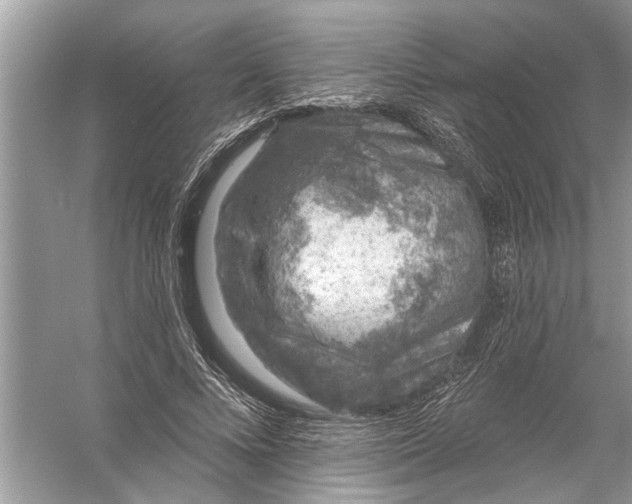 X0000055990688200509162252