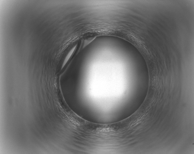 X0000055990689200509162252