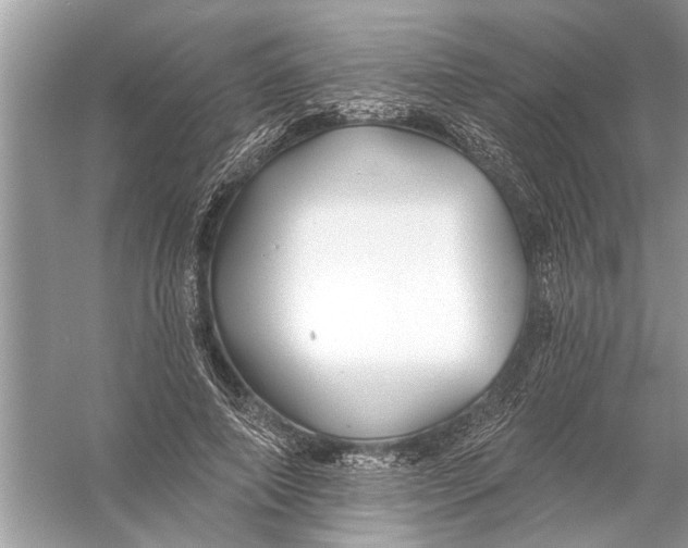 X0000055990690200509162252