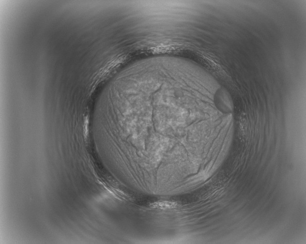 X0000055990691200509162252