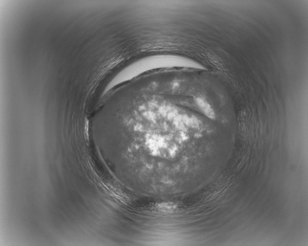 X0000055990692200509162252