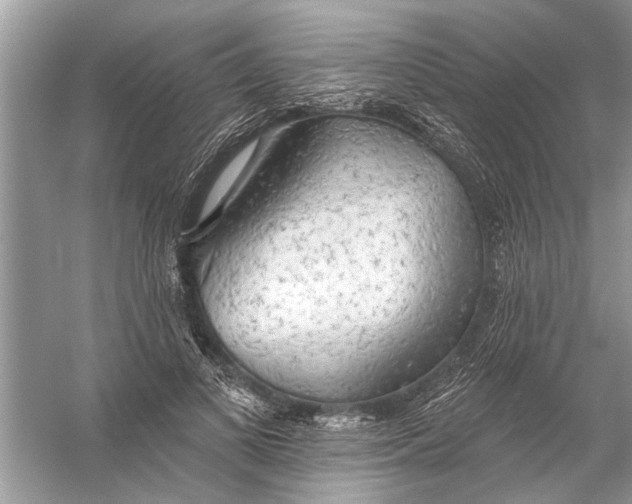 X0000055990693200509162252