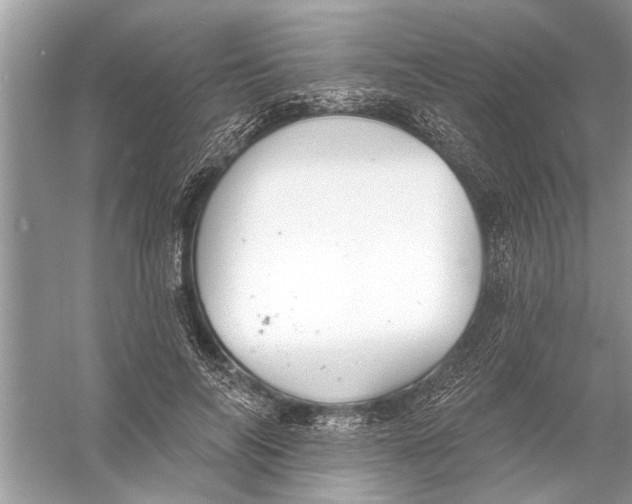 X0000055990694200509162252