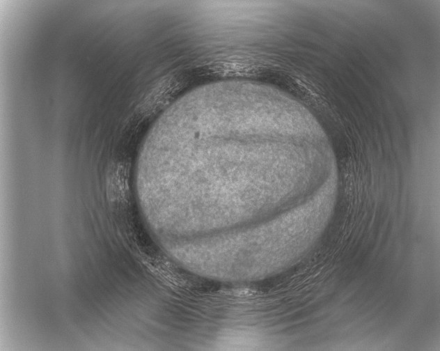 X0000055990695200509162252