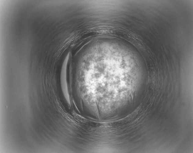 X0000055990696200509162252