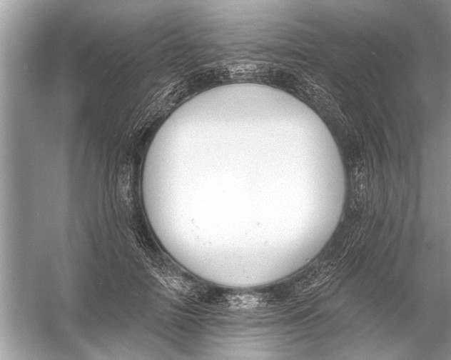 X0000055990698200509162252