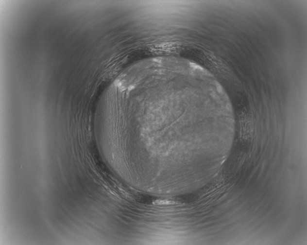 X0000055990699200509162252