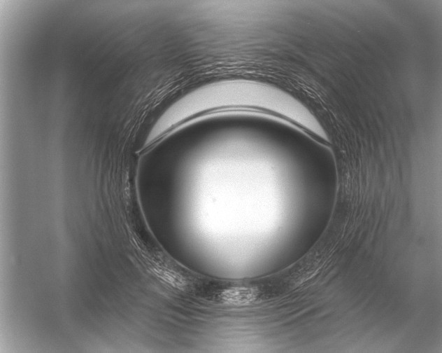 X0000055990700200509162252