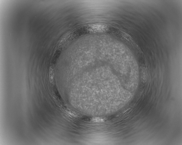 X0000055990701200509162252