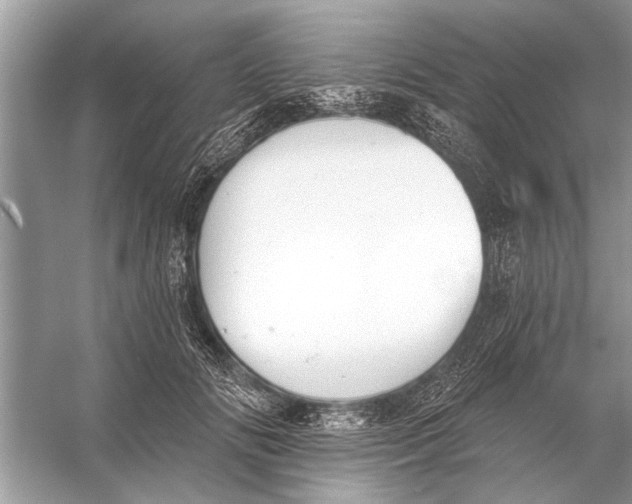 X0000055990702200509162252