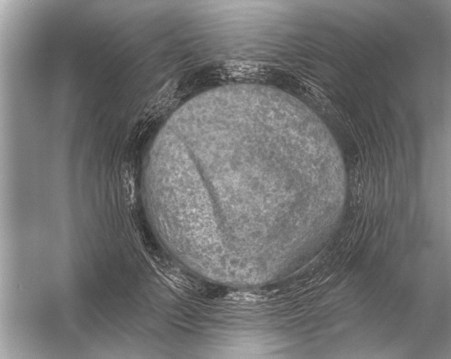 X0000055990703200509162252