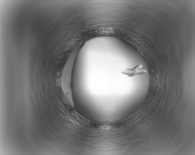 X0000055990704200509162252