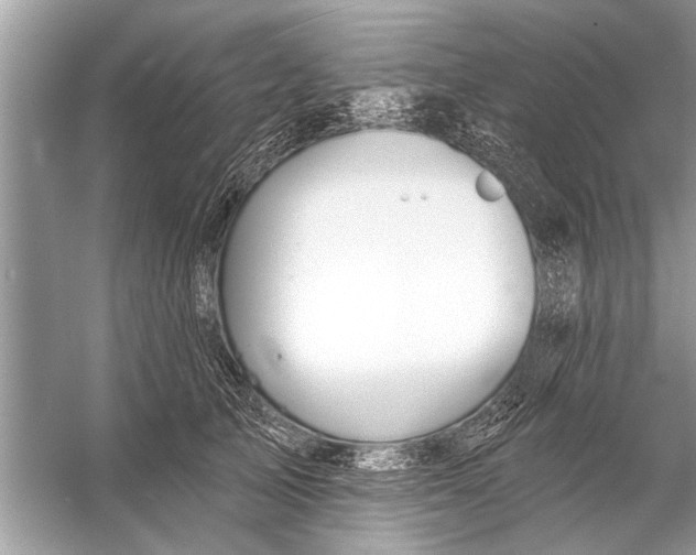 X0000055990705200509162252