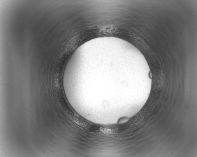 X0000055990706200509162252