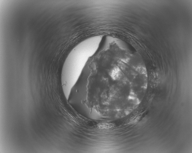 X0000055990707200509162252