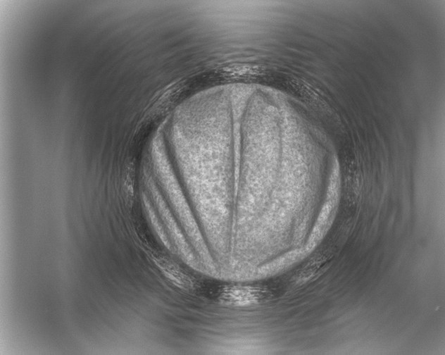 X0000055990710200509162251