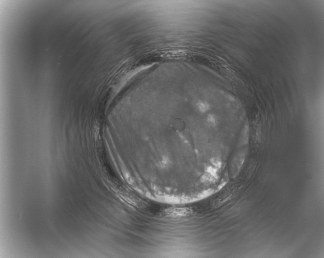 X0000055990711200509162251