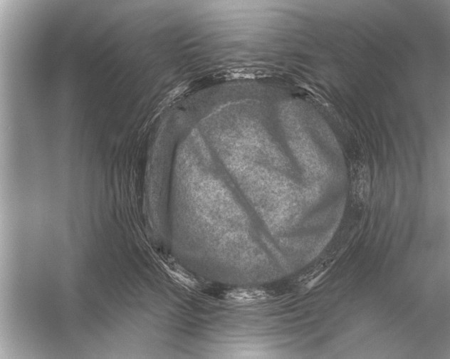 X0000055990712200509162251