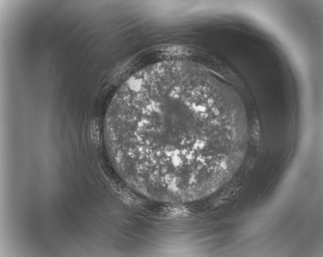 X0000055990715200509162251