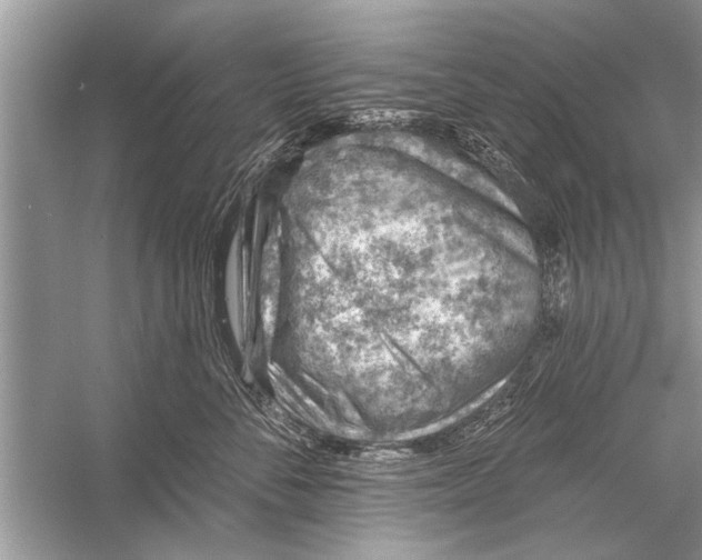 X0000055990716200509162251