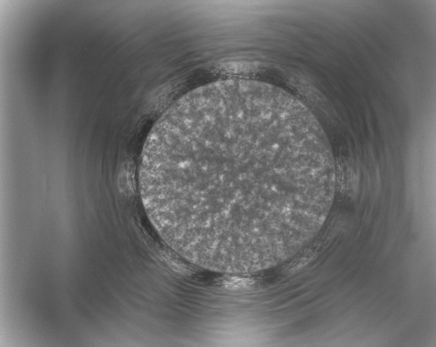 X0000055990718200509162251