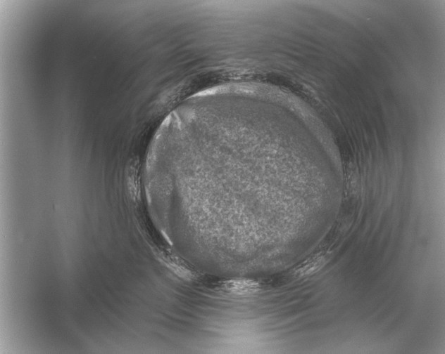 X0000055990719200509162251