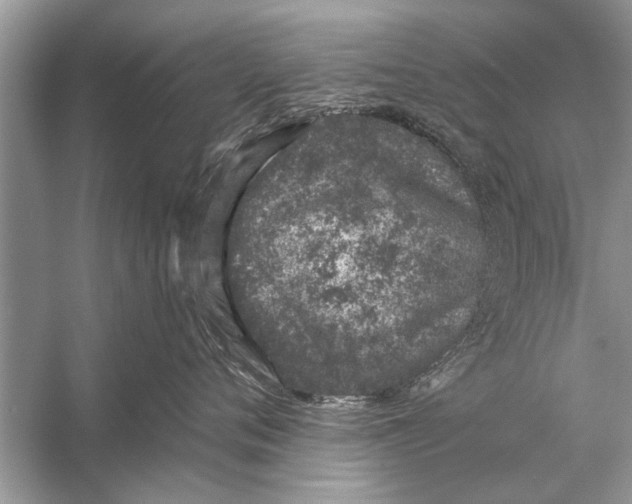 X0000055990720200509162251