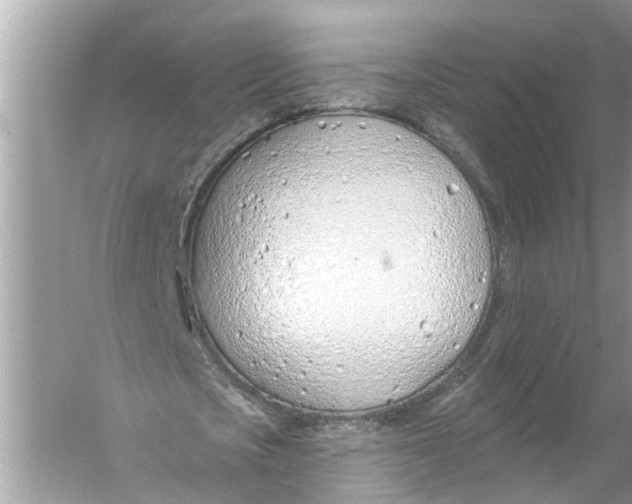 X0000055990721200509162251