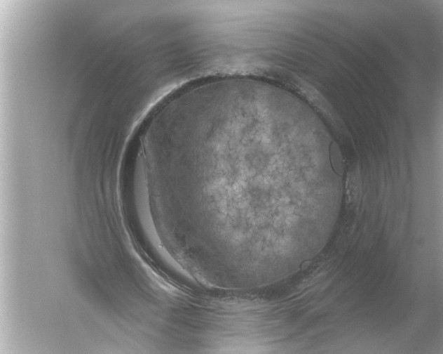 X0000055990722200509162251