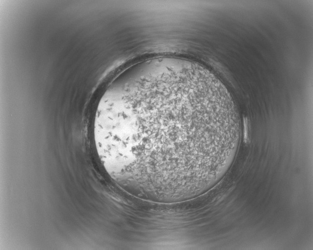 X0000055990723200509162251