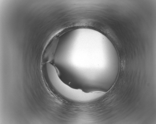 X0000055990724200509162251