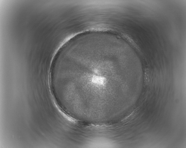 X0000055990726200509162251