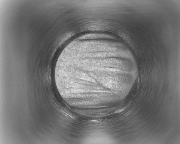 X0000055990727200509162251