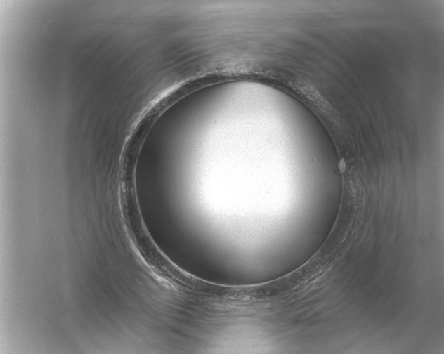 X0000055990728200509162251