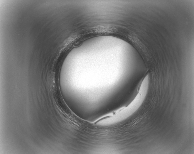 X0000055990731200509162251