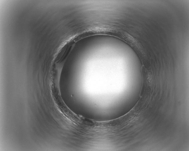 X0000055990732200509162251