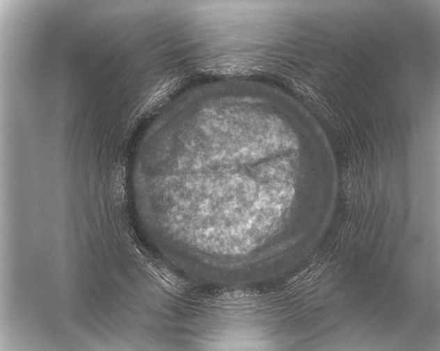 X0000055990735200509162251