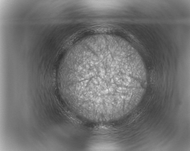 X0000055990737200509162251