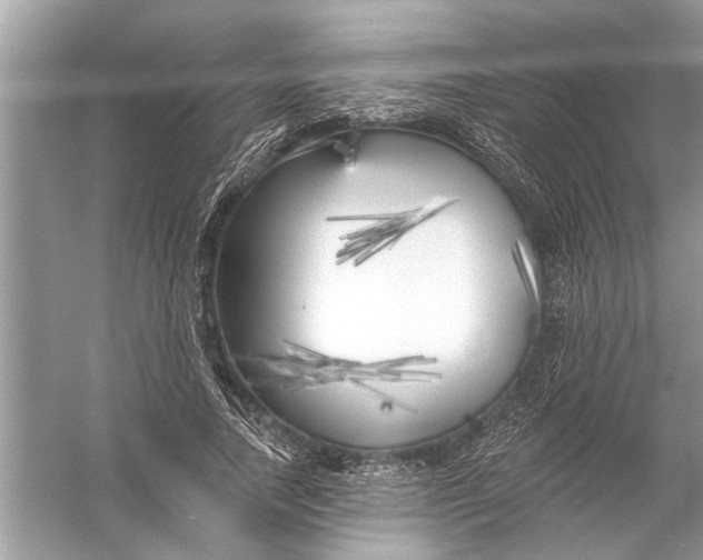 X0000055990738200509162251