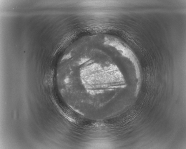 X0000055990742200509162251