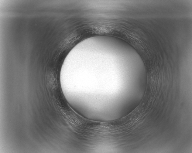 X0000055990743200509162251