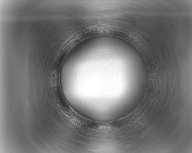 X0000055990744200509162251