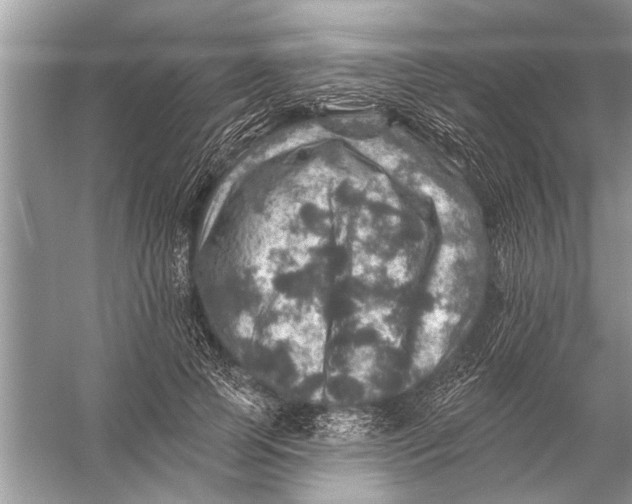 X0000055990745200509162251