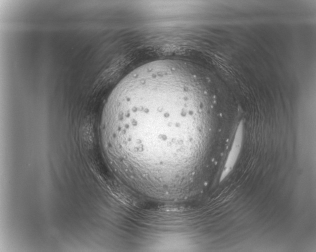 X0000055990746200509162251